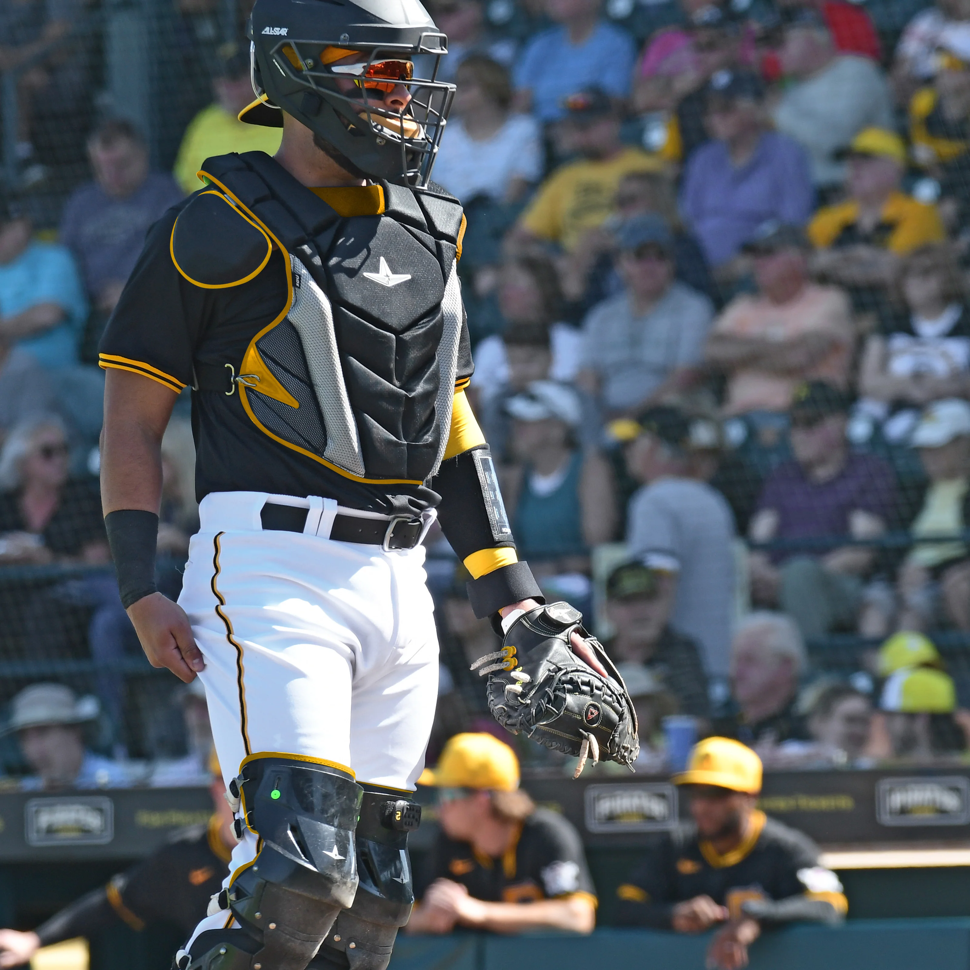 PRO-ELITE® SOLID BLACK - CATCHERS MITT - Image 12